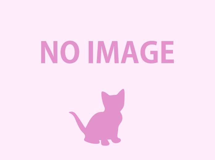 ☆ゆき☆のサムネイル